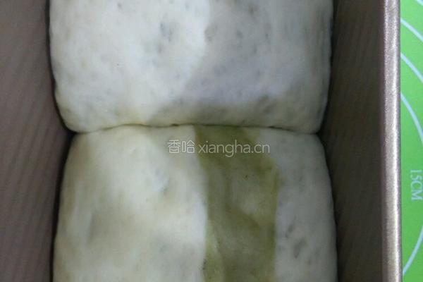 抹茶双色土司的做法图解6
