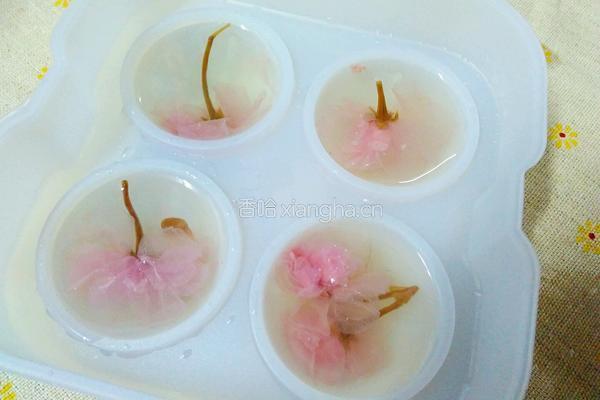 樱花水信玄饼(吉利丁版)的做法图解11