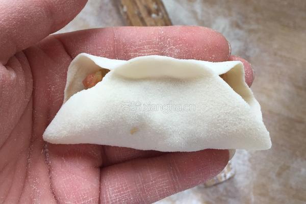 瓜皮猪肉馅儿水饺的做法图解8