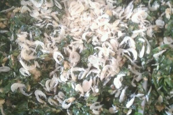 三鲜馅饺子的做法图解6