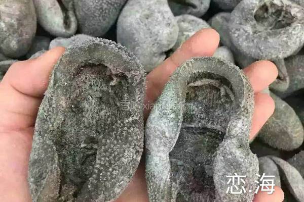 海参（球参）鱼胶养生汤的做法图解2