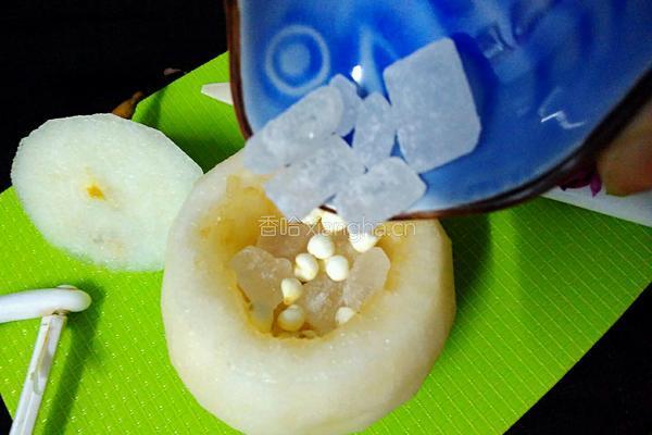 川贝炖雪梨的做法图解6
