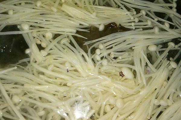 金针菇拌凉菜的做法图解3