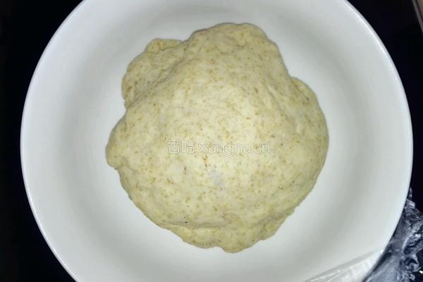 全麦中种(冷藏发酵法)的做法图解4
