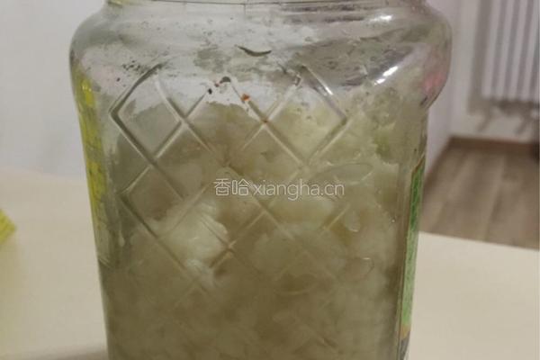 自制米酒/醪糟的做法图解4