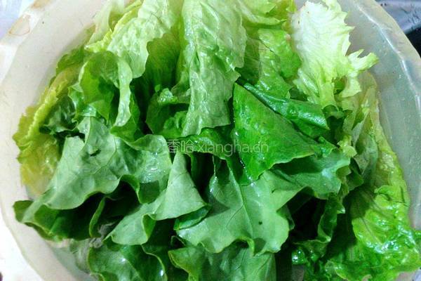 蚝油香菇扒生菜的做法图解1