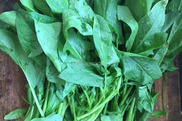 清炒菠菜的做法图解1