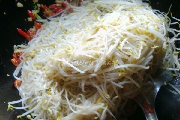 香辣豆芽的做法图解5