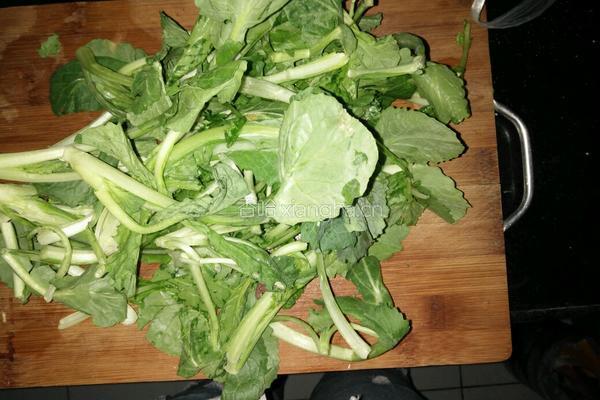 苔菜豆腐的做法图解3