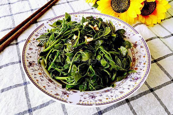 凉拌花椒芽的做法图解6