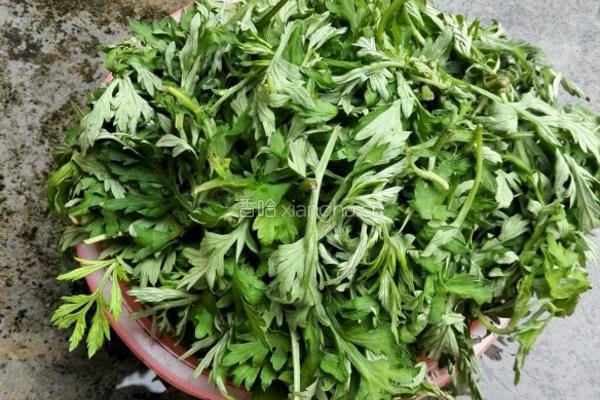 艾草猪肉汤的做法图解1