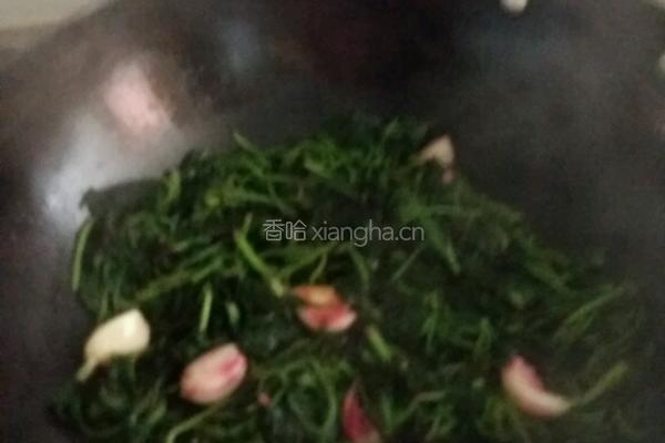 清炒苋菜的做法图解4