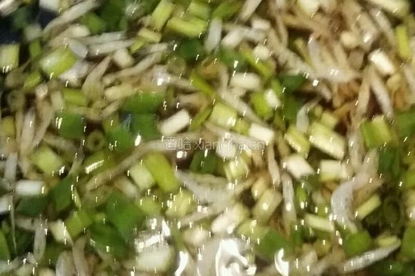 葱香虾皮蒸蛋的做法图解4