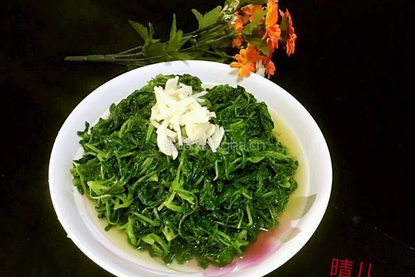 蒜蓉炒萝卜苗的做法图解9