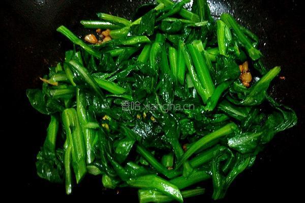 肉粒炒菜心的做法图解6