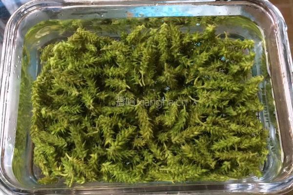 柳树芽拌葱丝的做法图解3