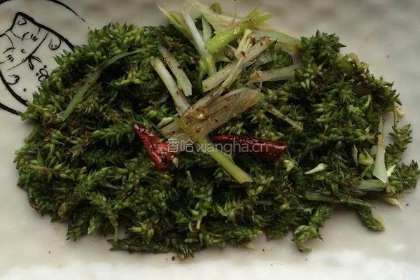 柳树芽拌葱丝的做法图解4