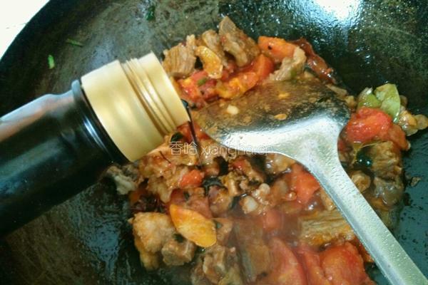 西红柿土豆炖牛腩的做法图解9
