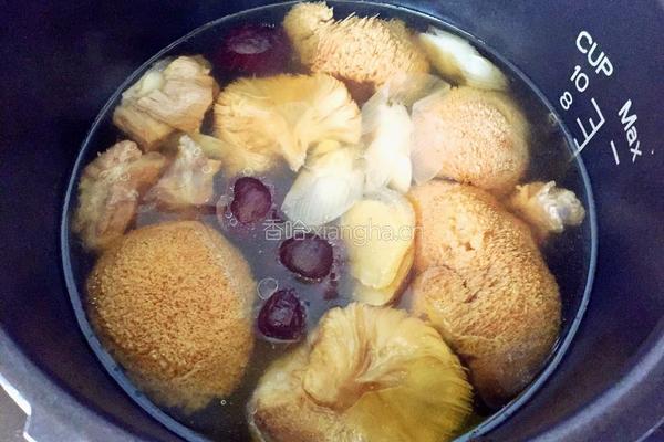 猴头菇排骨汤的做法图解8