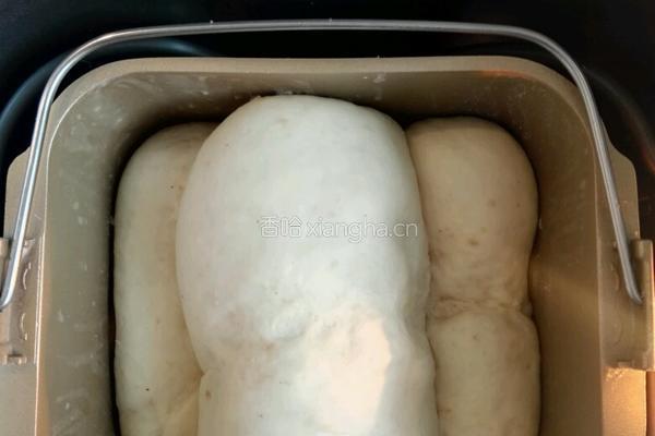 (冷藏汤种)椰香炫彩蜜豆土司的做法图解8