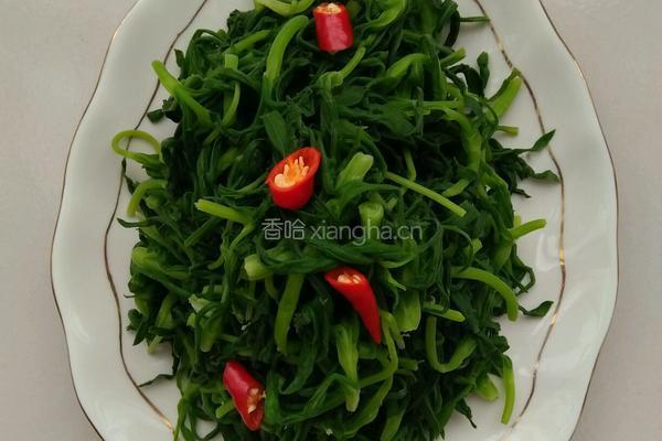 凉拌面条菜