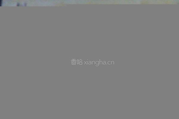 水果派的做法图解20