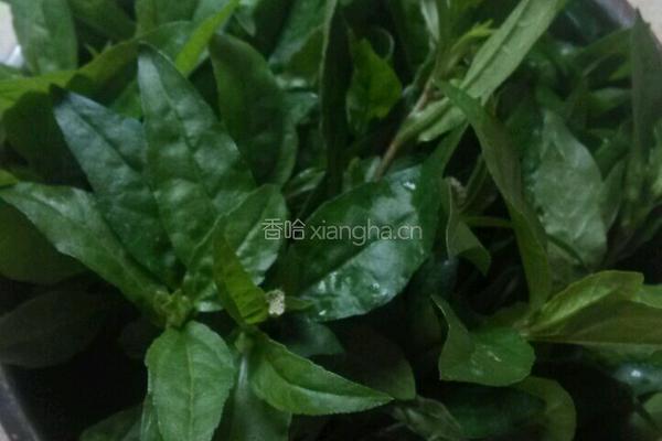 野菜肉末汤的做法图解1
