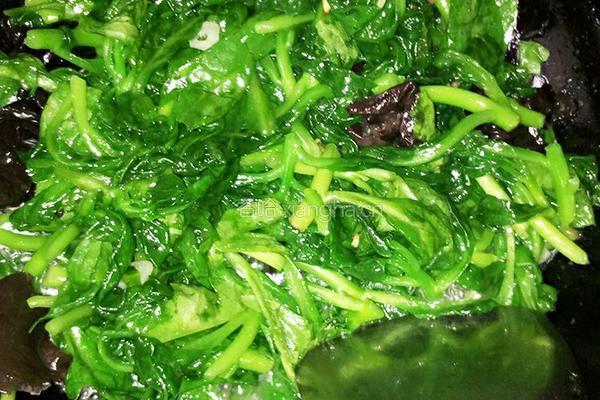 木耳菜炒木耳的做法图解5