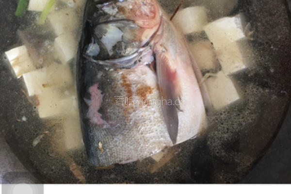 清炖豆腐鱼头汤的做法图解1