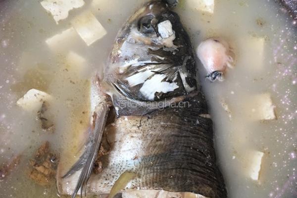 清炖豆腐鱼头汤的做法图解2