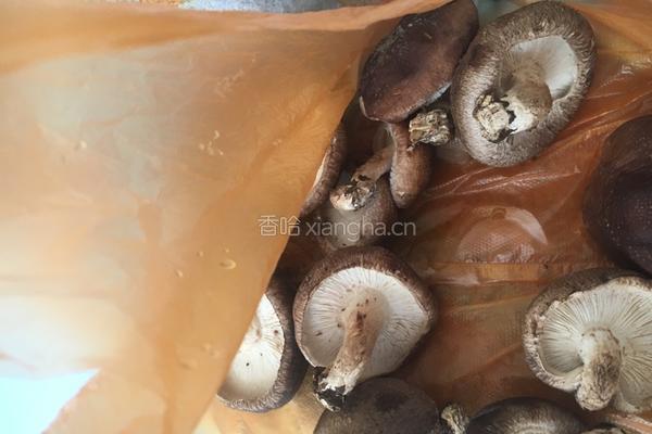 香菇火腿的做法图解1