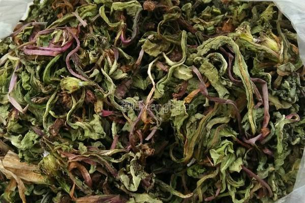 蒲公英茶的做法图解1