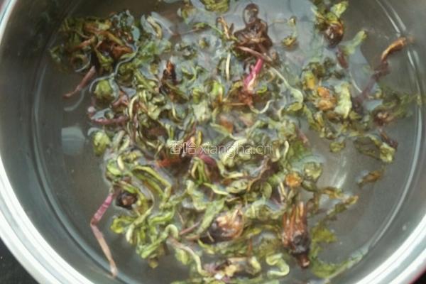 蒲公英茶的做法图解2