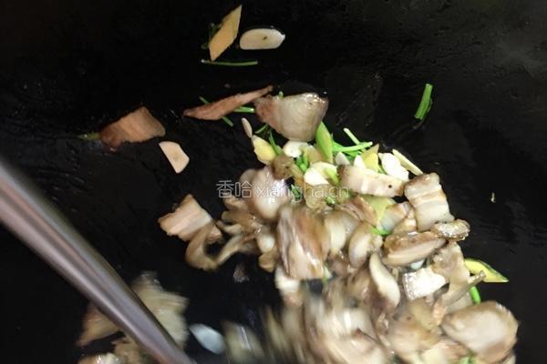 杏鲍菇炒肉片的做法图解4