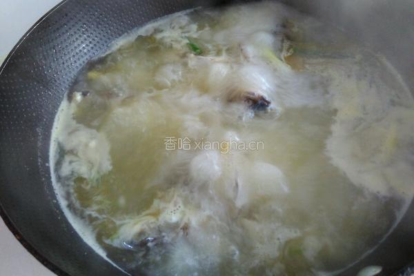 野生鲫鱼豆腐汤的做法图解6