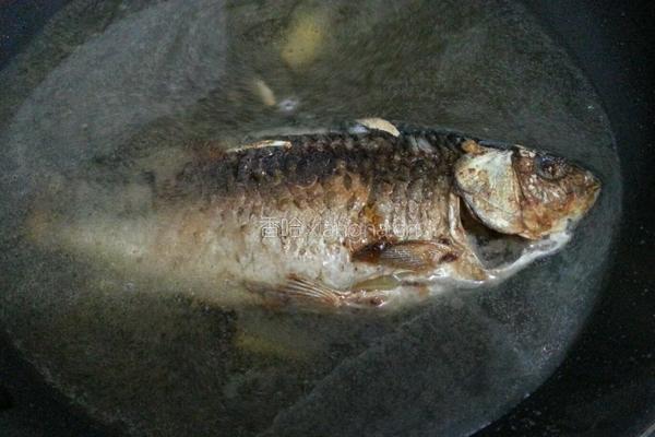 豆腐鲫鱼汤的做法图解5