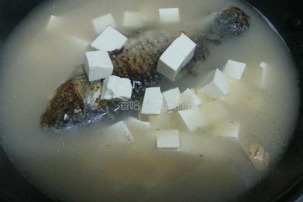 豆腐鲫鱼汤的做法图解6