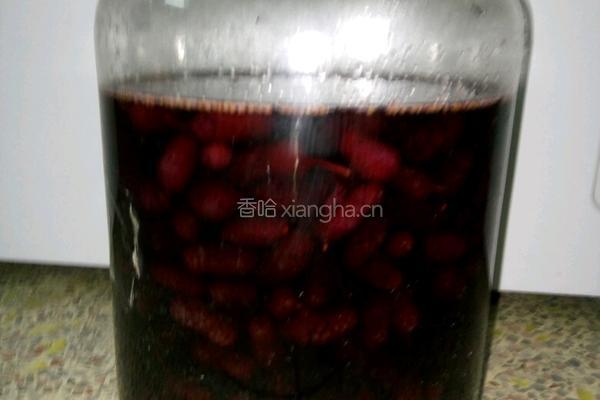 桑葚酒的做法图解4
