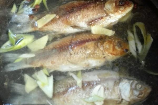 香浓鲫鱼汤的做法图解6