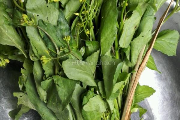 柴火野菜袪火汤的做法图解2