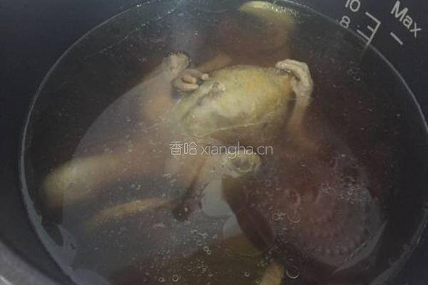 春笋乳鸽汤的做法图解10