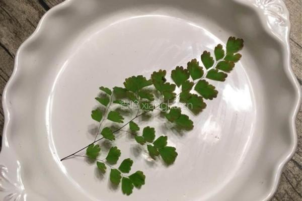菊花包的做法图解15