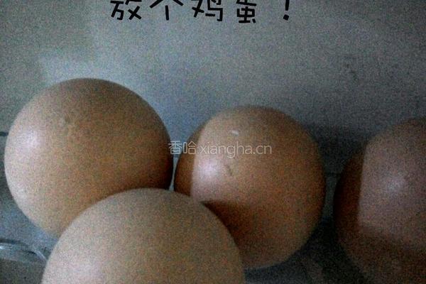 西红柿青菜肉丸汤（适合宝宝吃的菜）的做法图解4