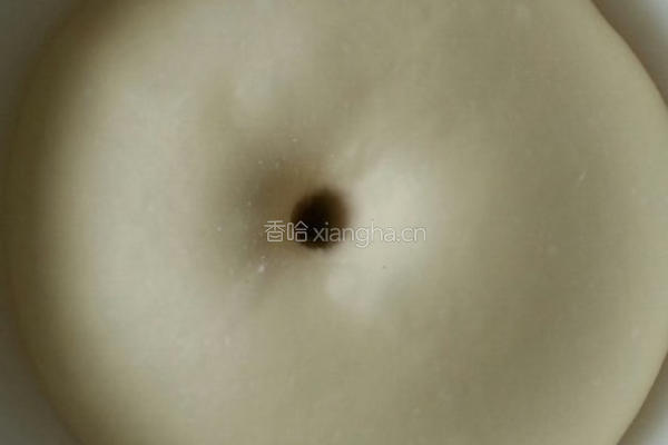 椰蓉花朵面包 冷藏中种法的做法图解5