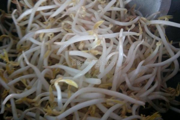 肉丝炒豆芽的做法图解4