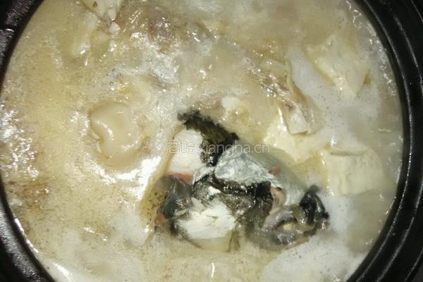 鱼头豆腐汤的做法图解5