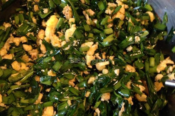韭菜鸡蛋饺子的做法图解4