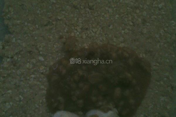 银鹭八宝粥金线虫面包（咖喱椒盐鱼泥肠）的做法图解3