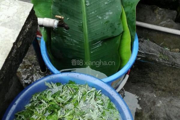 艾青的做法图解2