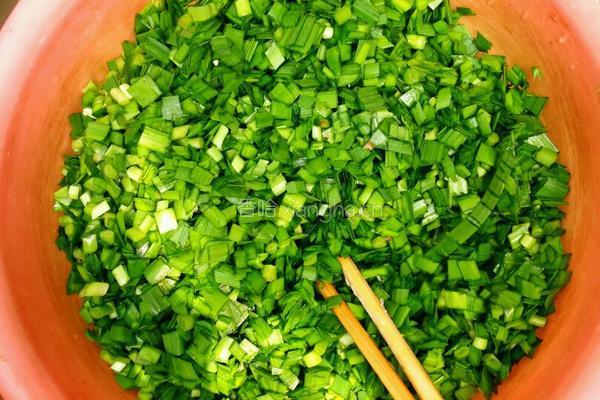 韭菜鸡蛋水饺(生鸡蛋版)的做法图解3
